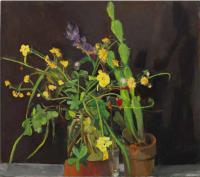 Oxalis and Cactus